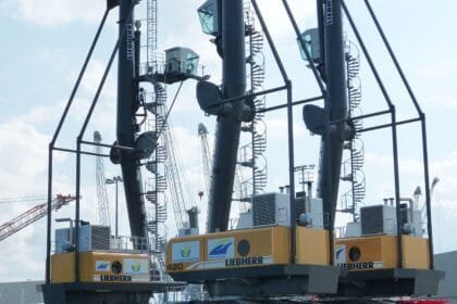 Enerji Santrali Yatırımları Ağır Vinç Talebini Nasıl Etkiliyor? - Makina Gündem